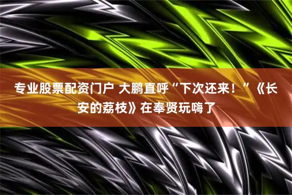 专业股票配资门户 大鹏直呼“下次还来！”《长安的荔枝》在奉贤玩嗨了
